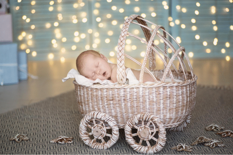 best newborn swings